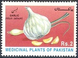 B373- Pakistan 1997. Medicinal Plants Allium Satium Linn Lahsan Garlic.