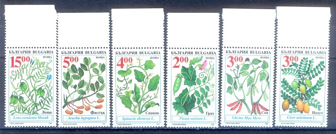 E096- Bulgaria 1995 Legumes Traditional Agriculture Vegetables Flowers Pea Plants Nature.