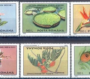 E114- Romania 1995. Flora Flowers Silk Tree Yew Rhododen Empresstree Strelizia Water Lily.