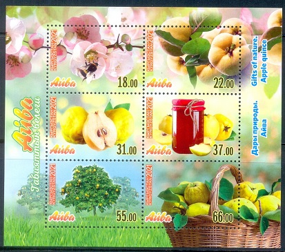 E167- Kyrgyzstan 2021 Plants Fruit Quince.