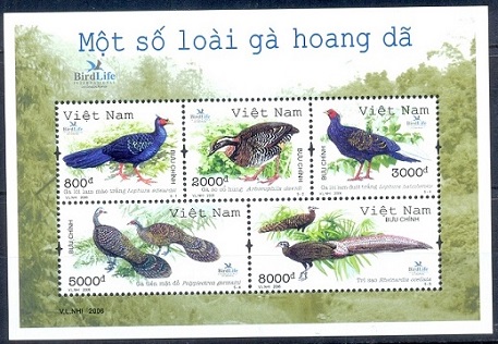 E205- Vietnam 2006. Birds. wild chickens.