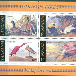 E292- Wild Life, Birds, Tanzania.