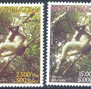 E353- Madagascar 2003. Fauna Lemur Lemurien animals.