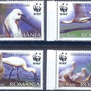 E385- ROMANIA 2006 WWF FAUNA WATER BIRDS.